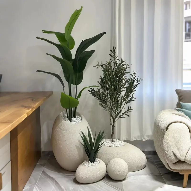 สร้างสวนสวรรค์ของคุณด้วยต้นบอน - Interior Design Your Home บทวิจารณ์และราคา